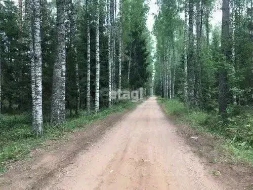 Участок в Ленинградская область, Тосненский район, Трубникоборское ... - Фото 1