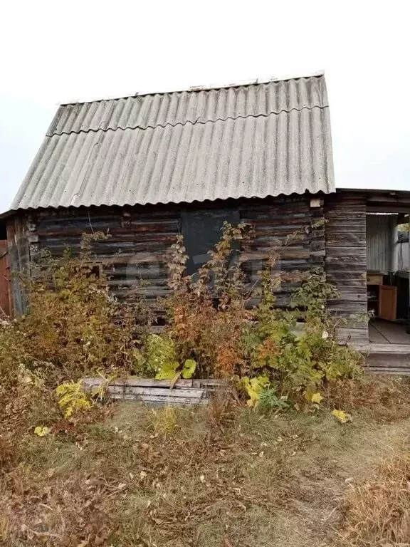 Дом в Курган, СНТ Полянка-2 (18 м) - Фото 2