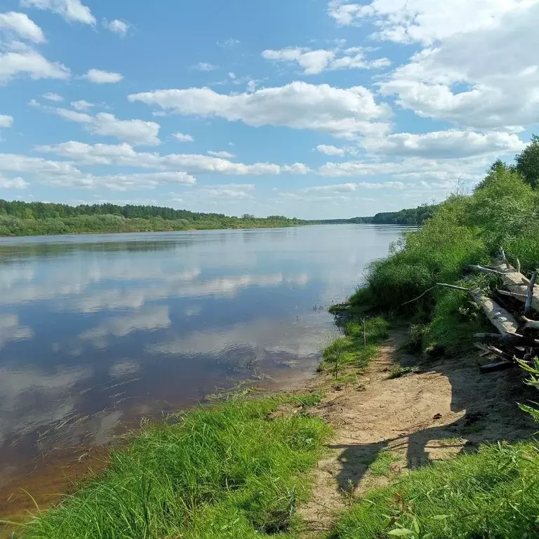 Участок в Нижегородская область, Нижний Новгород Мещерское Озеро ... - Фото 0