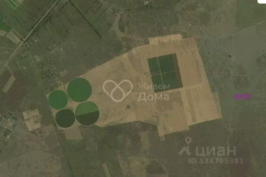 Участок в Волгоградская область, Среднеахтубинский район, ... - Фото 1