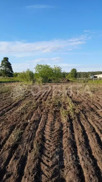 Участок в Тюменская область, Тюменский район, Нива СНТ  (7.8 сот.) - Фото 0