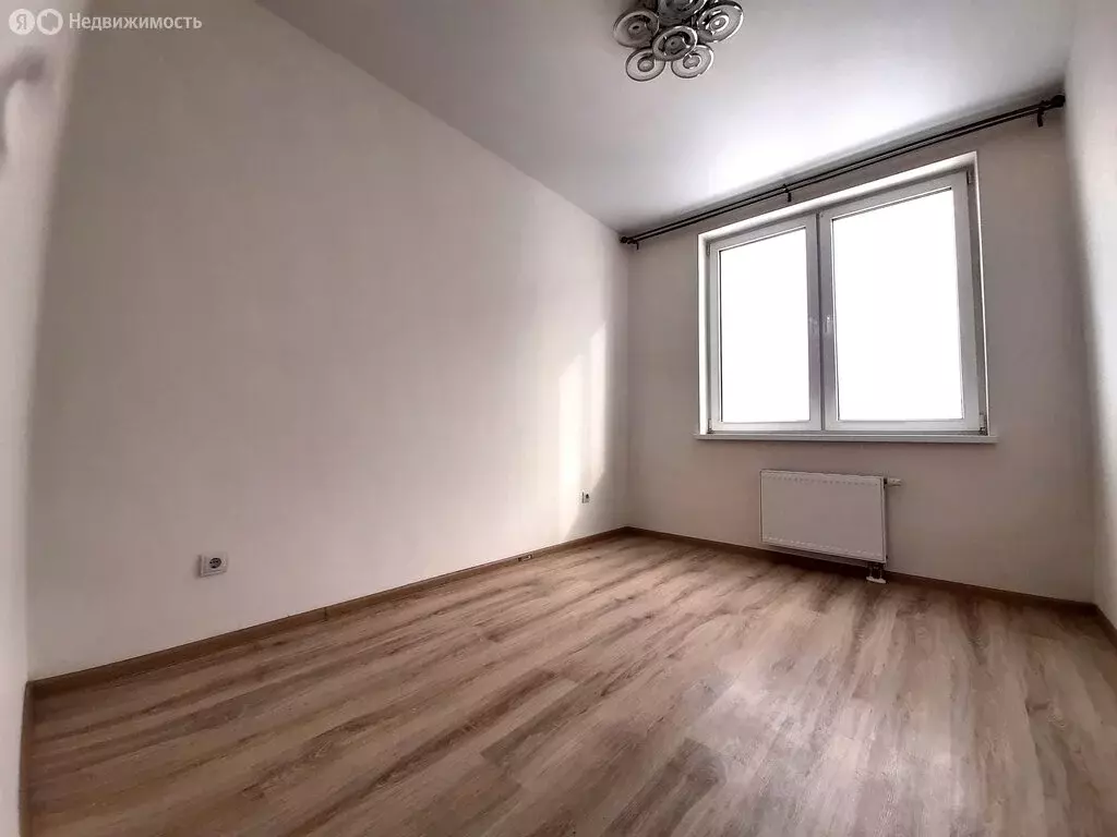 1-комнатная квартира: деревня Анкудиновка, Русская улица, 14 (42 м) - Фото 2