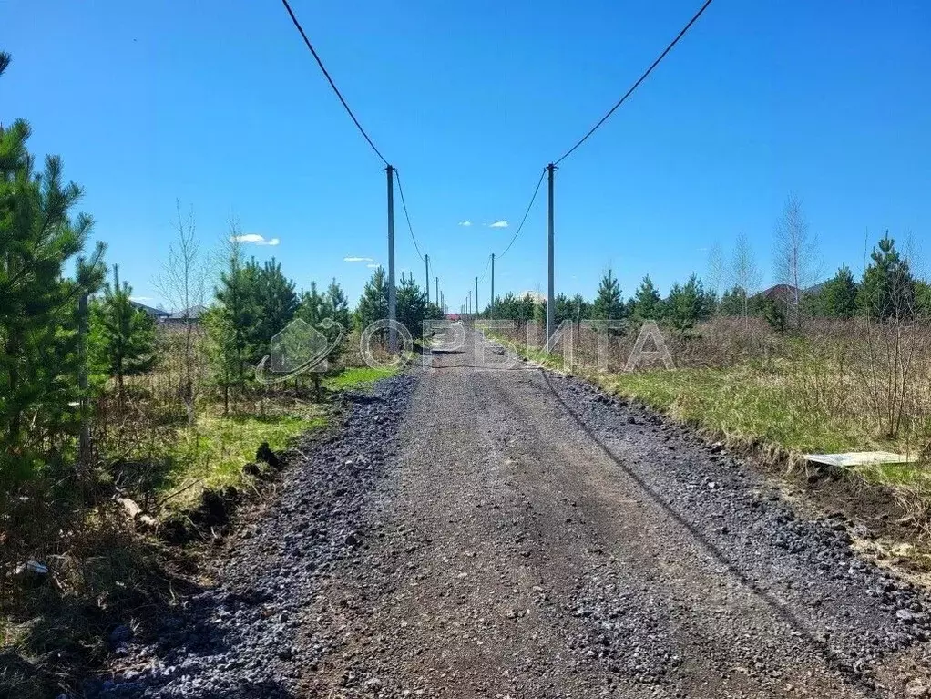 Участок в Тюменская область, Тюменский район, д. Елань, Хвойный кп  ... - Фото 0