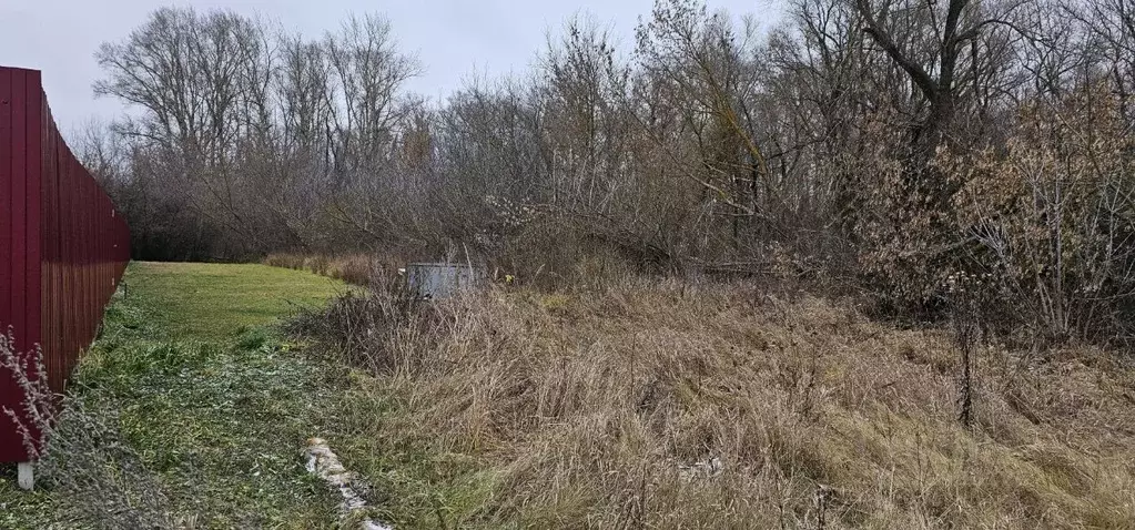 Участок в Московская область, Луховицы муниципальный округ, д. Гольный ... - Фото 1