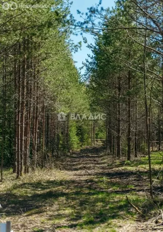 Участок в Ромашкинское сельское поселение, коттеджный посёлок ... - Фото 2