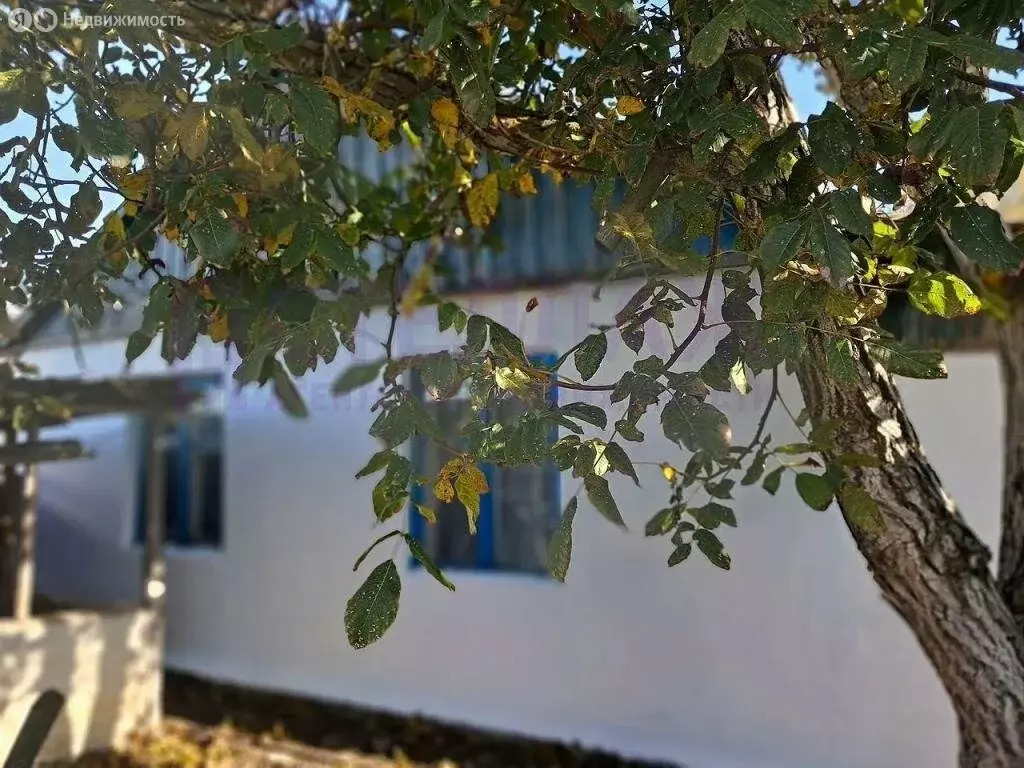 Дом в Останино, улица Титова, 51 (52.8 м) - Фото 1