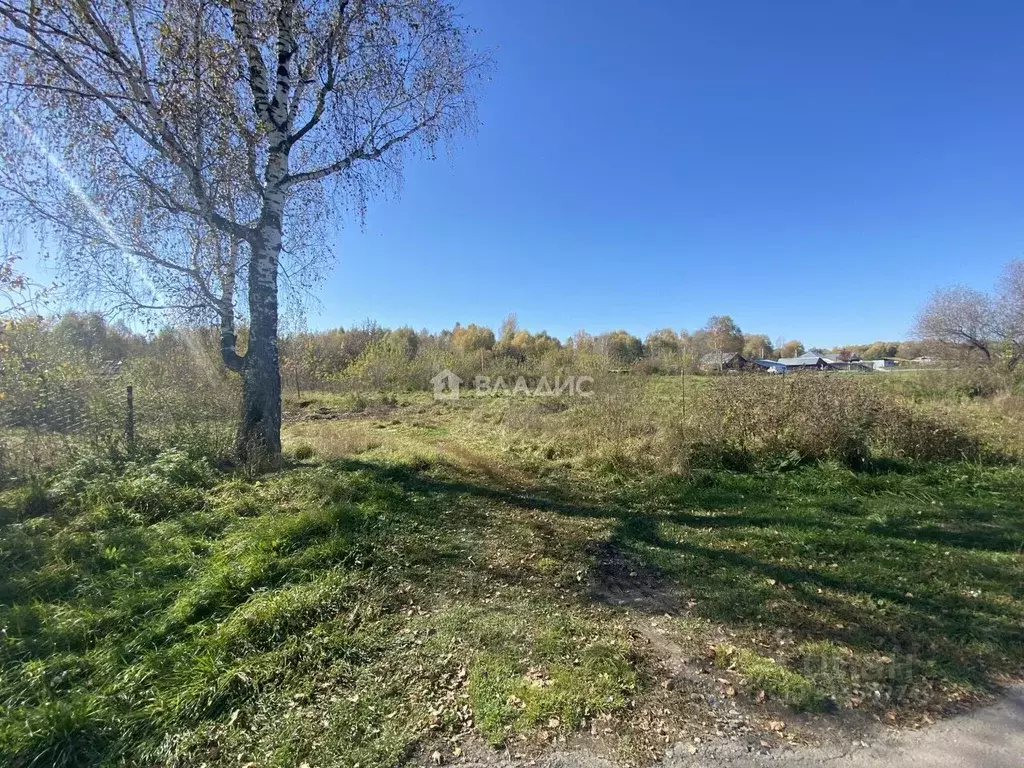 Участок в Алтайский край, Красногорский район, с. Березовка ул. ... - Фото 2