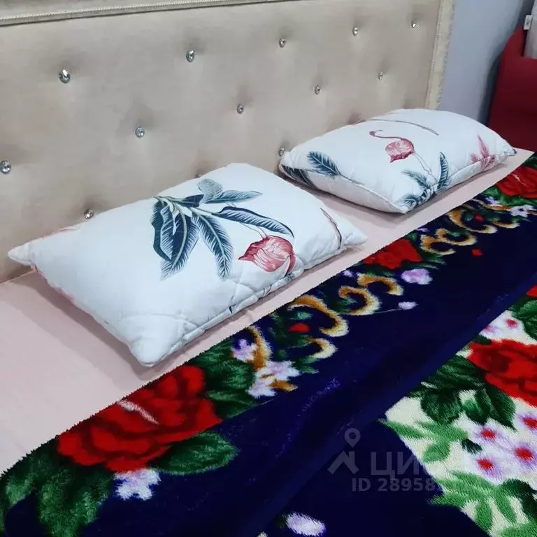 1-к кв. Дагестан, Дербент ул. Владимира Ленина, 25 (60.0 м) - Фото 2