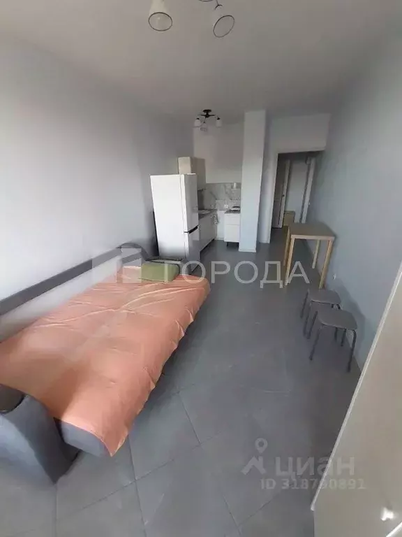 Студия Новосибирская область, Новосибирск ул. Галущака, 15 (26.2 м) - Фото 0