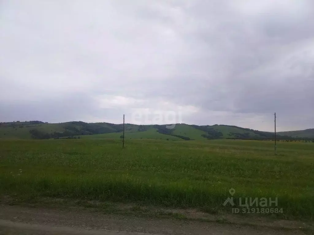 Участок в Алтайский край, Усть-Калманский район, с. Слюдянка ... - Фото 0