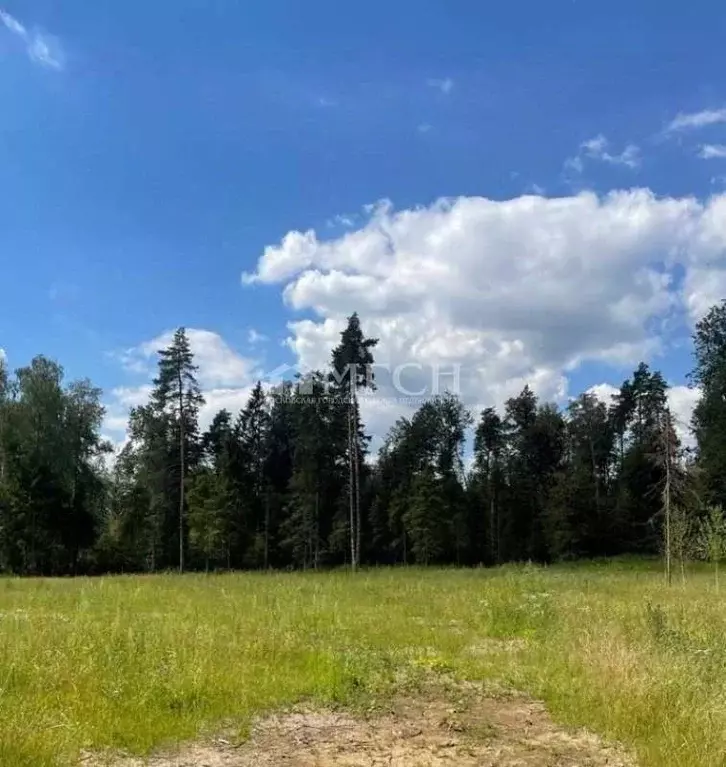 Участок в Московская область, Щелково городской округ, д. Шевелкино ... - Фото 2