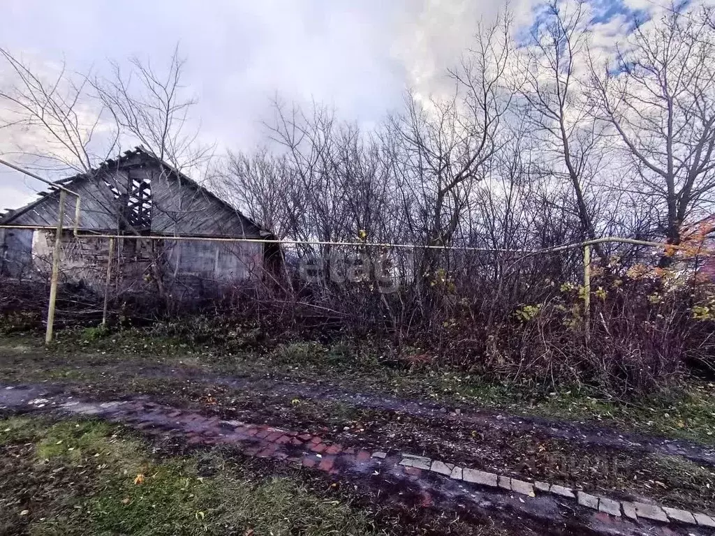 Участок в Тамбовская область, Тамбовский муниципальный округ, с. ... - Фото 1