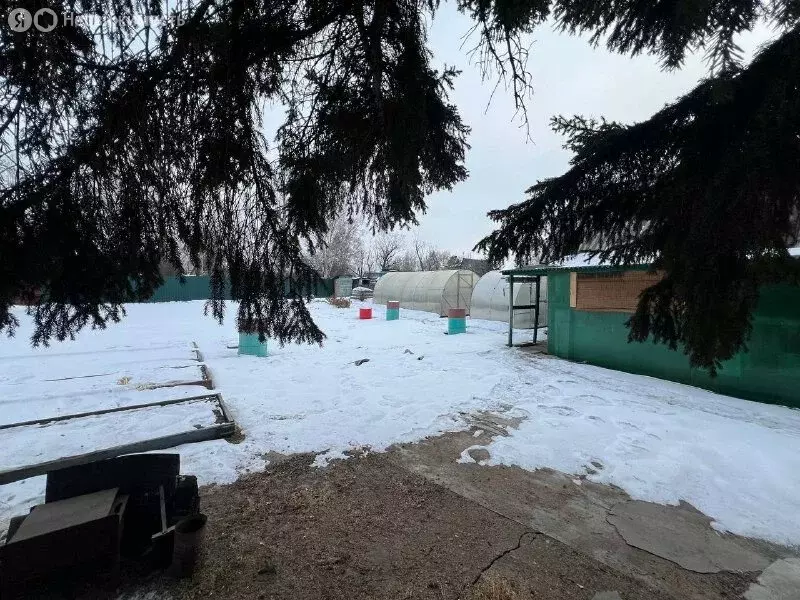 Участок в Чита, СНТ Биофабрика (5.45 м) - Фото 1