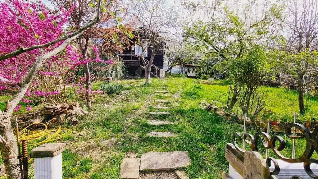 Участок в Краснодарский край, Сочи Виноградный пер., 116 (5.5 сот.) - Фото 1