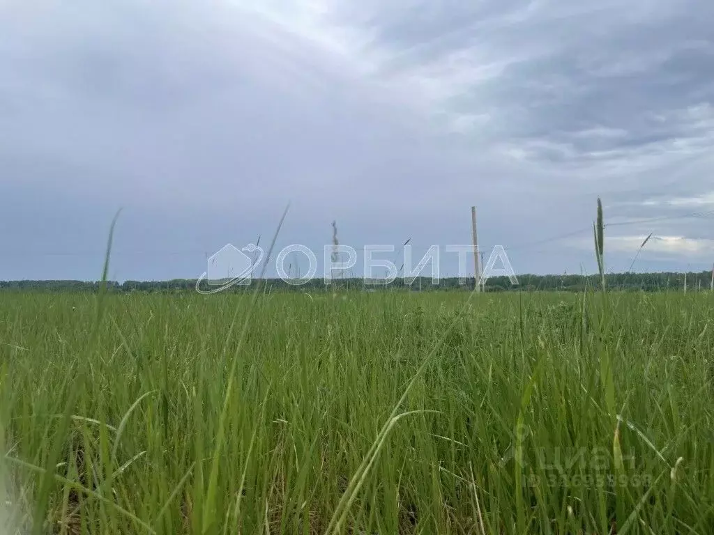 Участок в Тюменская область, Тюменский район, д. Коняшина  (4.84 сот.) - Фото 1