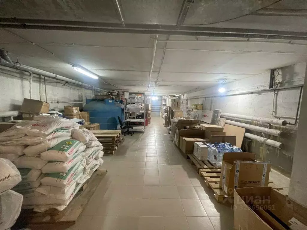 Помещение свободного назначения в Татарстан, Казань Петербургская ул., ... - Фото 2