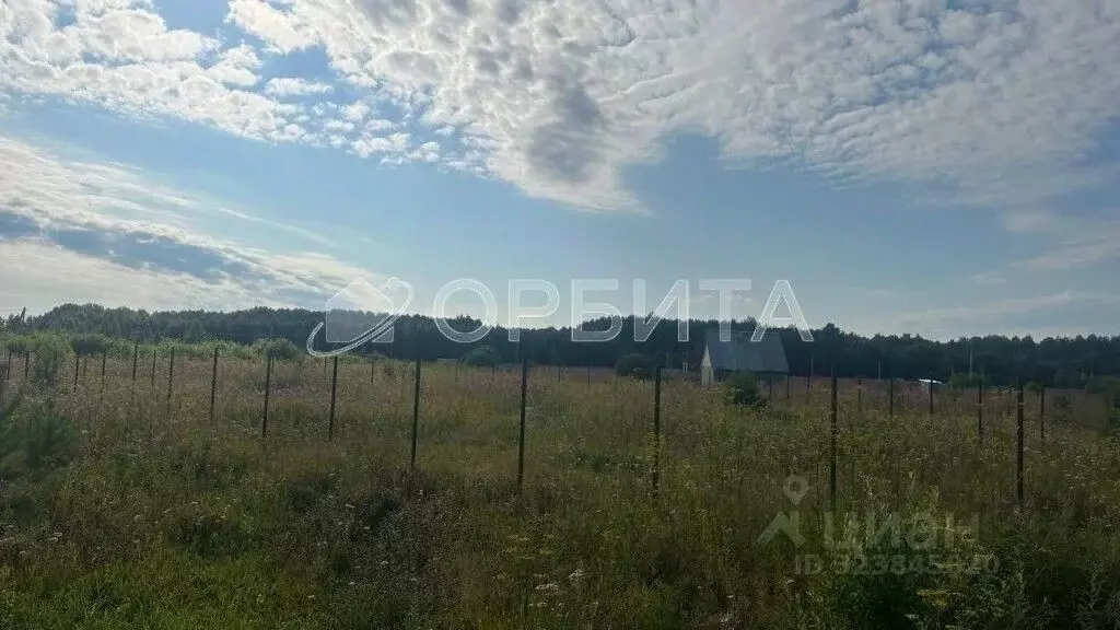 Участок в Тюменская область, Тюменский муниципальный округ, с. Кулига ... - Фото 1