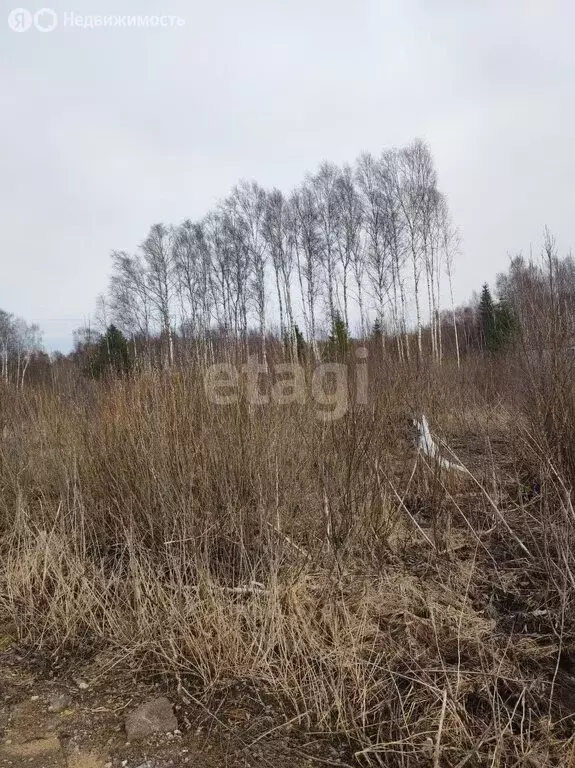 участок в большелуцкое сельское поселение, садоводческое . - Фото 1