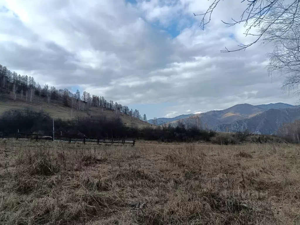 Участок в Алтай, Усть-Канский район, с. Владимировка  (15.9 сот.) - Фото 0