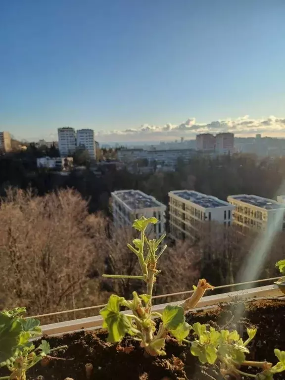 2-к кв. Краснодарский край, Сочи Вишневая ул., 27 (55.0 м) - Фото 1