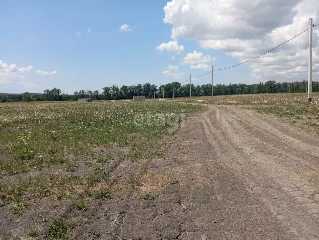 Участок в Краснодарский край, Новороссийск городской округ, ... - Фото 1