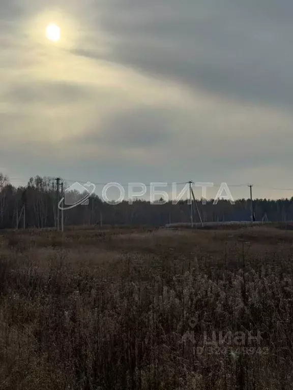 Участок в Тюменская область, Тюменский муниципальный округ, с. Кулига, ... - Фото 1