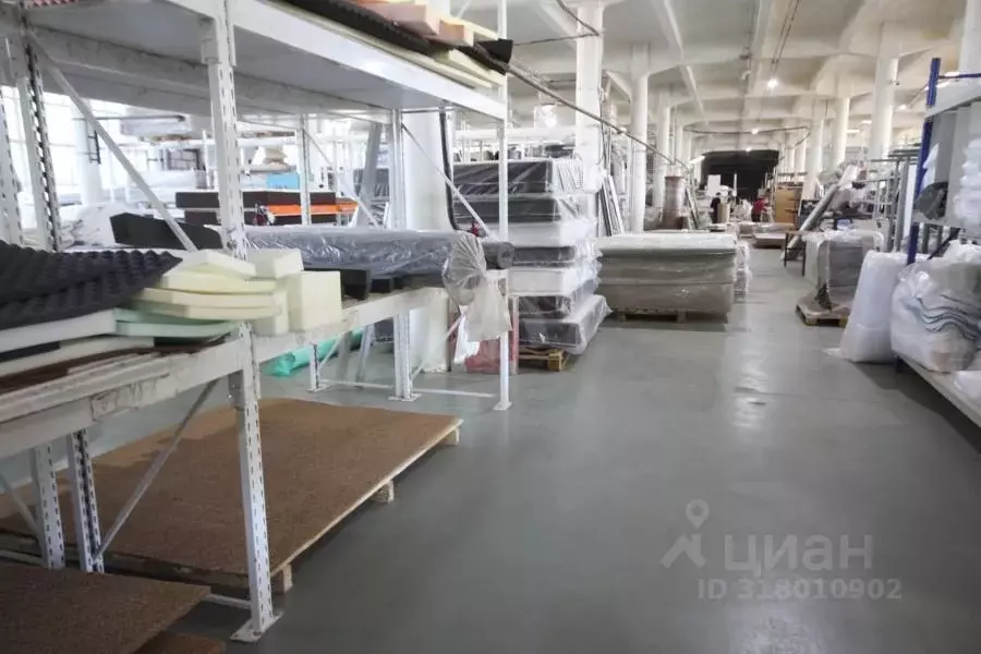 Производственное помещение в Московская область, Ногинск Богородский ... - Фото 1