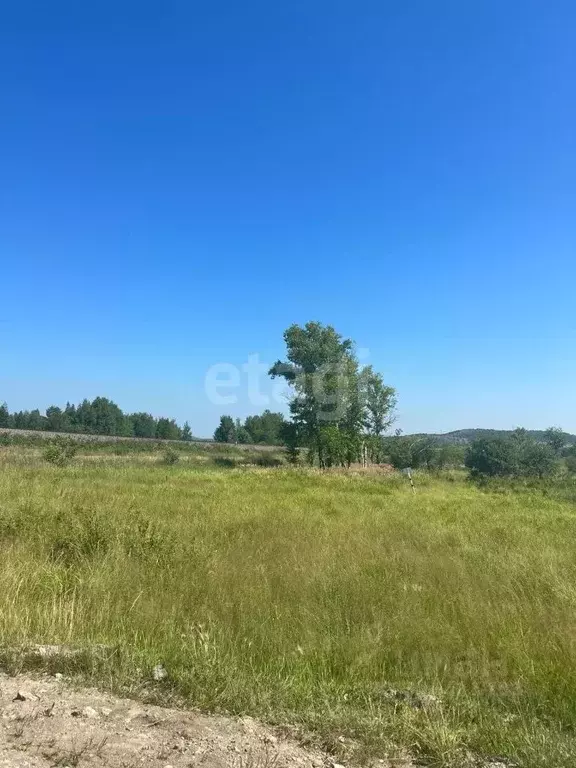 Участок в Хабаровский край, Комсомольск-на-Амуре Усадебная ул. (10.0 ... - Фото 1