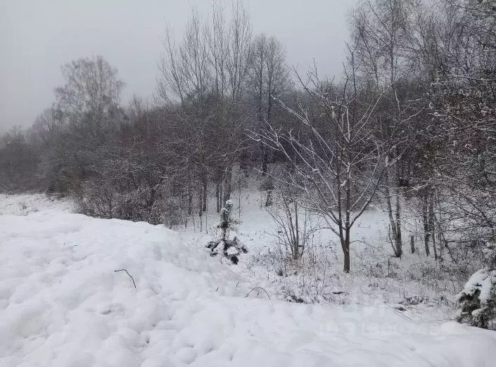 Участок в Московская область, Дмитровский муниципальный округ, д. ... - Фото 0