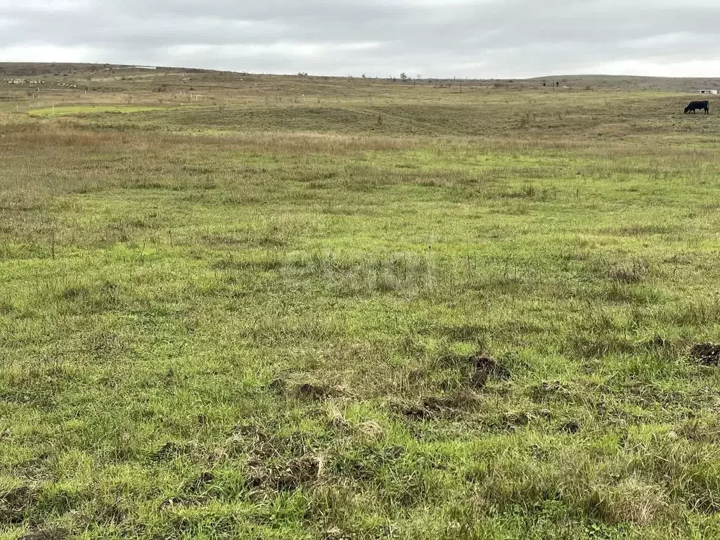 Участок в Крым, Симферопольский район, Чистенское с/пос, с. Камышинка  ... - Фото 1