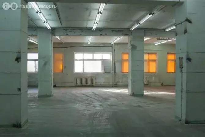 Помещение свободного назначения (650 м) - Фото 0