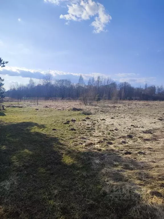 Дом в Новгородская область, Солецкий муниципальный округ, д. Дуброво ... - Фото 1
