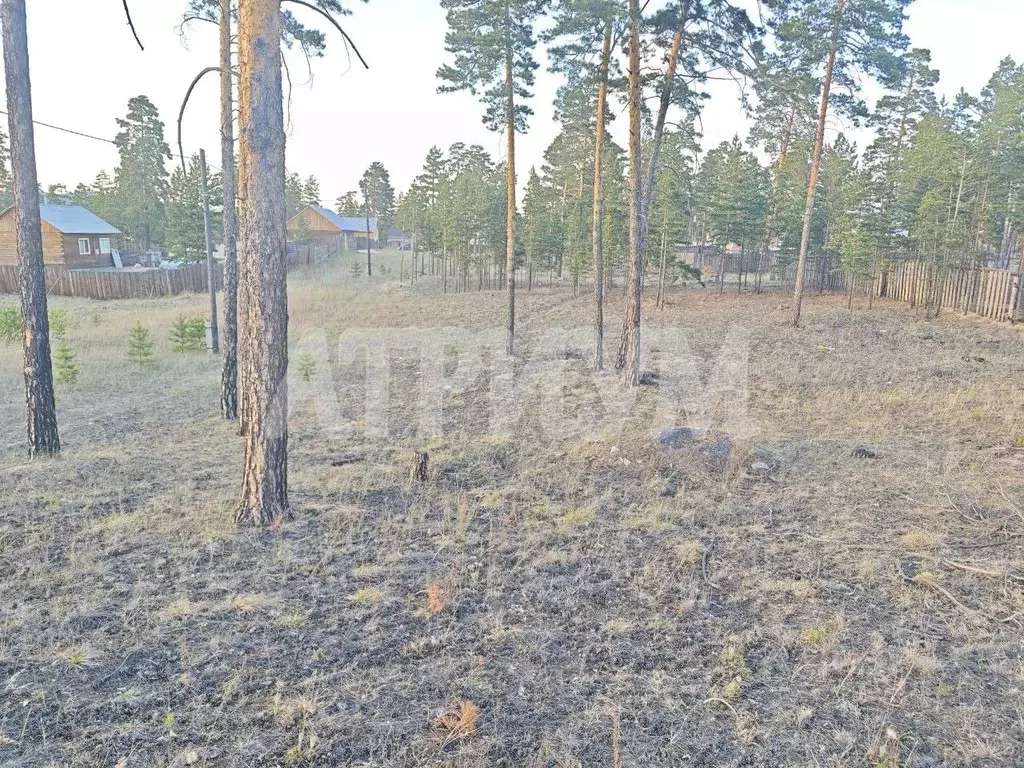 Участок в Бурятия, Улан-Удэ Лоза ДНТ,  (8.0 сот.) - Фото 1