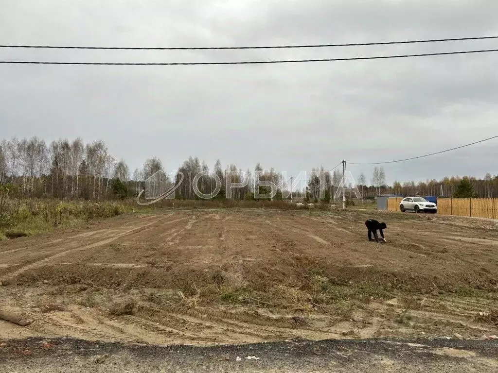 Участок в Тюменская область, Нижнетавдинский район, Геолог-2 СНТ 5-я ... - Фото 1