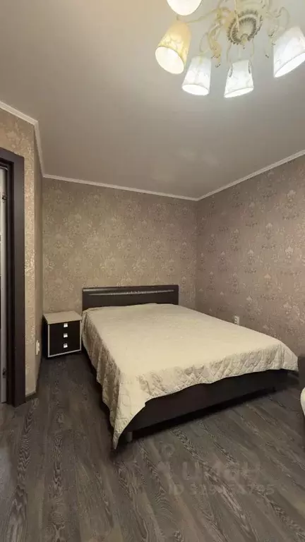 1-к кв. Пензенская область, Пенза ул. Куйбышева, 34Б (42.0 м) - Фото 2