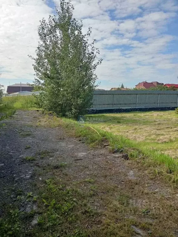 Участок в Тюменская область, Тюмень городской округ, д. Ожогина ул. ... - Фото 0