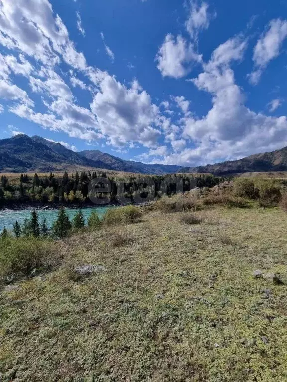Участок в Алтай, Онгудайский район, с. Иня  (200.0 сот.) - Фото 1