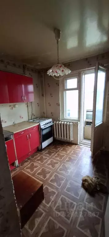 1-к кв. Кировская область, Киров городской округ, пос. Костино ул. ... - Фото 2