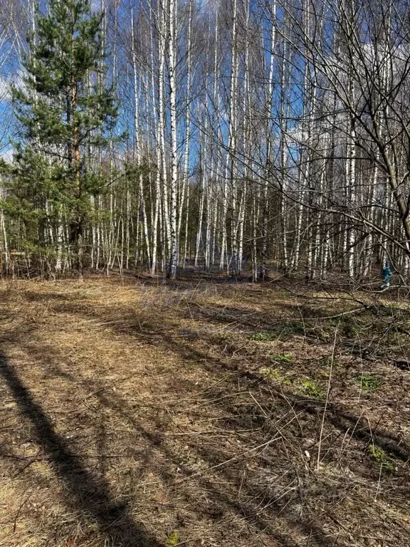 Участок в Нижегородская область, Городецкий муниципальный округ, д. ... - Фото 1