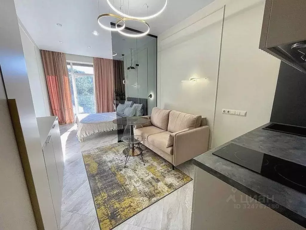 1-к кв. Краснодарский край, Сочи городской округ, Дагомыс пгт ш. ... - Фото 1