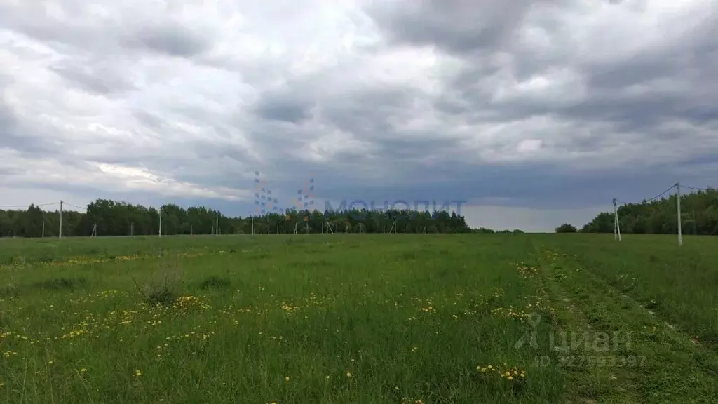 Участок в Нижегородская область, Дальнеконстантиновский муниципальный ... - Фото 2