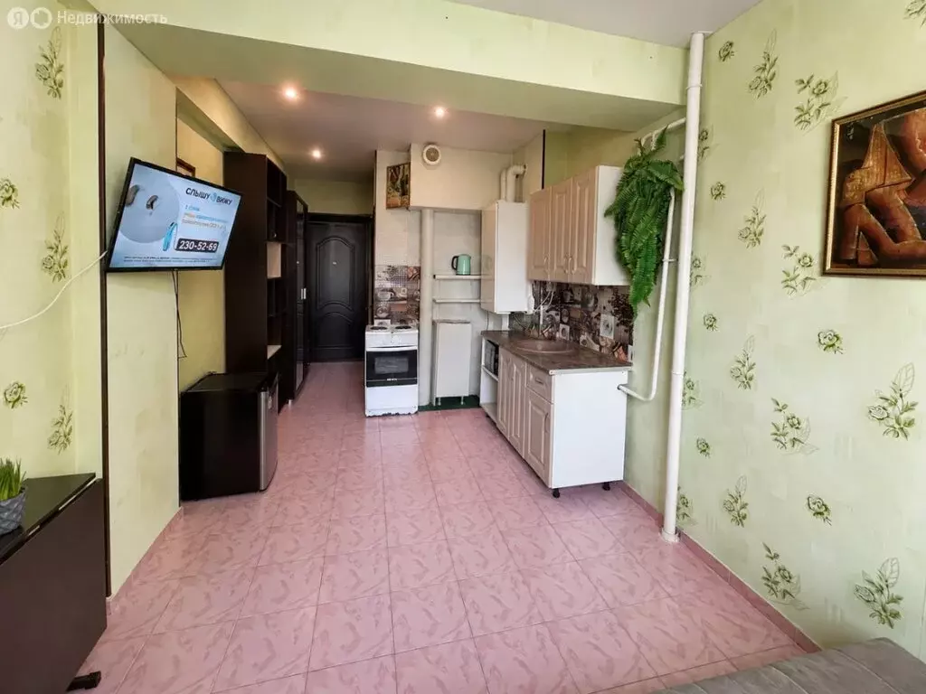 Квартира-студия: Сочи, микрорайон Мамайка, Волжская улица, 34 (19 м) - Фото 1