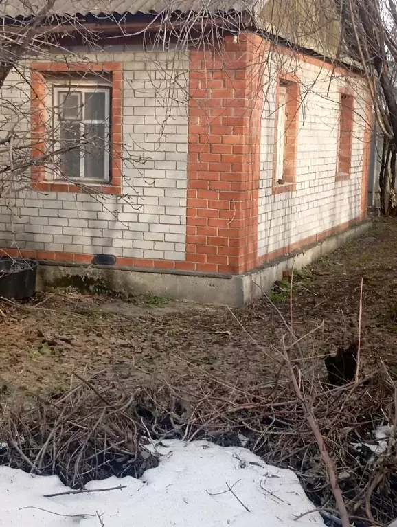 Помещение свободного назначения в Челябинская область, Челябинск ул. ... - Фото 1