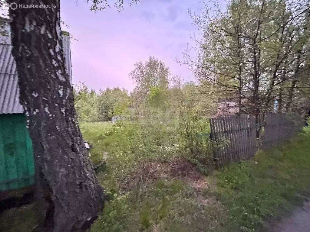 Участок в Станционный сельсовет, село Новокаменка, садовое ... - Фото 1