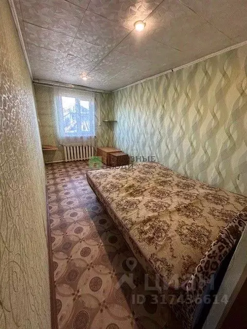 Дом в Амурская область, Благовещенский район, с. Игнатьево Школьная ... - Фото 0