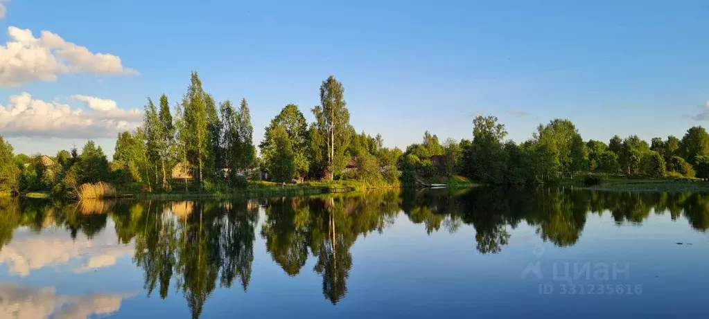 Участок в Новгородская область, Окуловка ул. Коминтерна, 49 (14.0 ... - Фото 1