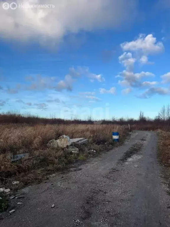 Участок в Зеленоградск, посёлок Клинцовка (6.1 м) - Фото 1
