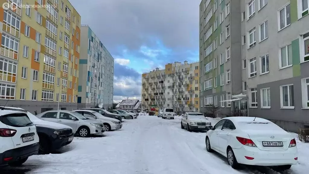 1-комнатная квартира: Светлогорск, Молодёжная улица, 11 (29.8 м) - Фото 2