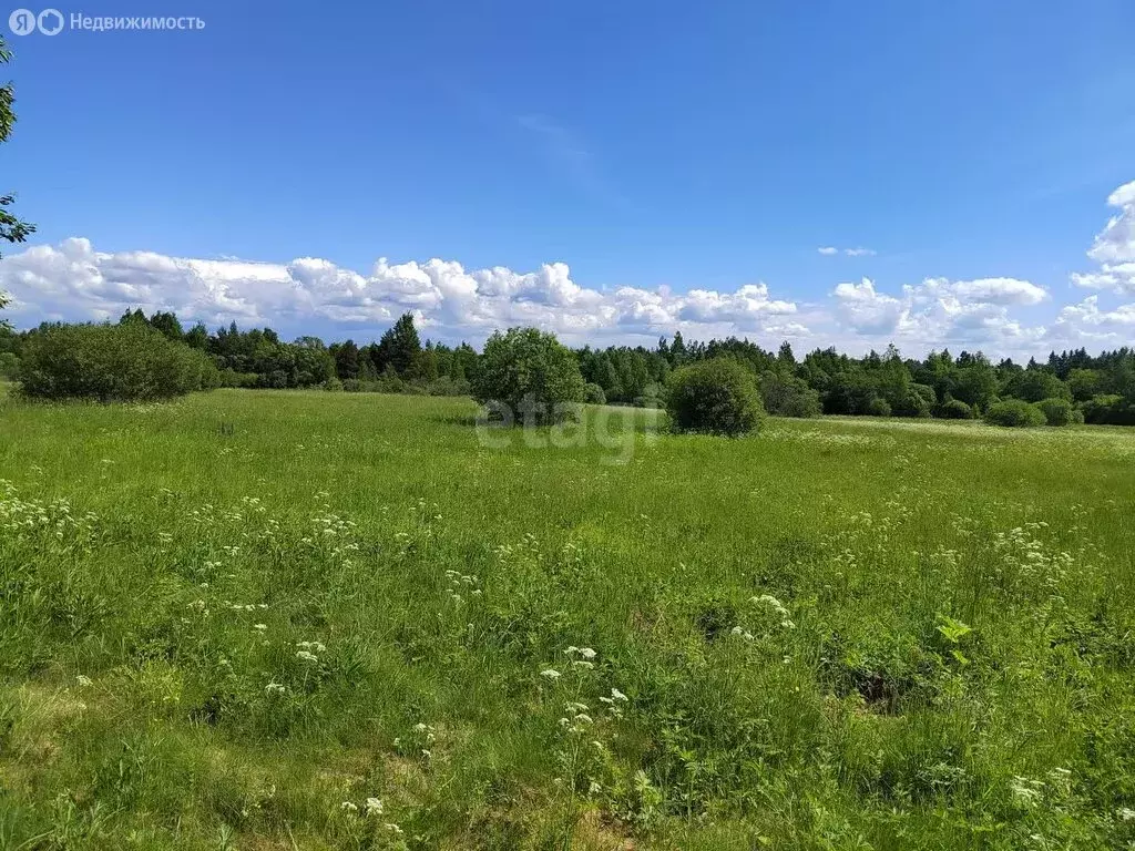 Участок в Волховский район, Пашское сельское поселение, деревня ... - Фото 0