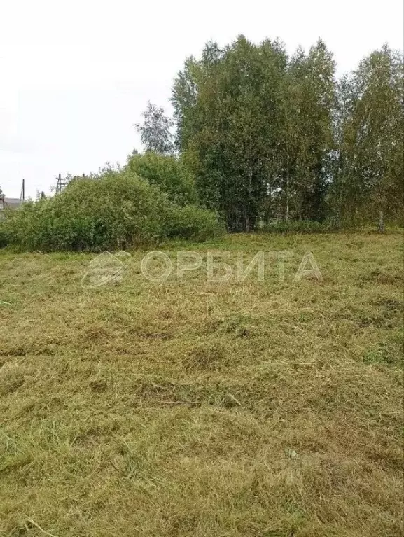 Участок в Тюменская область, Нижнетавдинский муниципальный округ, ... - Фото 1